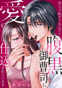 身一つで転がり込んだら、腹黒御曹司に愛を仕込まれています 水乃いと